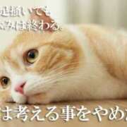 ヒメ日記 2025/08/25 12:50 投稿 さつき ギン妻パラダイス 和歌山店