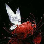 ヒメ日記 2025/09/10 13:55 投稿 さつき ギン妻パラダイス 和歌山店