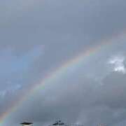 ヒメ日記 2025/12/11 15:35 投稿 さつき ギン妻パラダイス 和歌山店