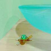 ヒメ日記 2025/12/18 15:55 投稿 さつき ギン妻パラダイス 和歌山店