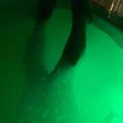 ヒメ日記 2026/01/02 15:55 投稿 さつき ギン妻パラダイス 和歌山店