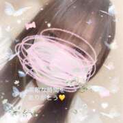 ヒメ日記 2026/02/03 20:00 投稿 さつき ギン妻パラダイス 和歌山店