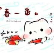 ヒメ日記 2026/02/15 12:50 投稿 さつき ギン妻パラダイス 和歌山店