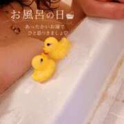 ヒメ日記 2026/09/26 19:45 投稿 さつき ギン妻パラダイス 和歌山店
