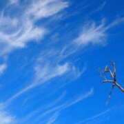 ヒメ日記 2025/11/26 14:47 投稿 石田あやめ 川崎南町 素敵な奥様（川崎ハレ系）