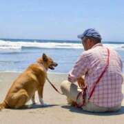 植沢まな 海辺の犬🐕 川崎南町 素敵な奥様（川崎ハレ系）