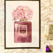 ヒメ日記 2025/03/24 11:30 投稿 いろは ミラー