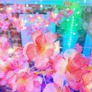 ヒメ日記 2025/04/05 21:00 投稿 いろは ミラー