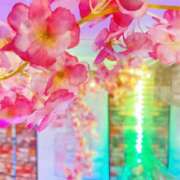 ヒメ日記 2025/04/08 18:00 投稿 いろは ミラー