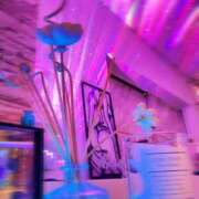 ヒメ日記 2025/04/12 08:30 投稿 いろは ミラー