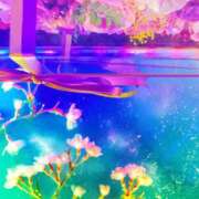 ヒメ日記 2025/04/13 08:30 投稿 いろは ミラー