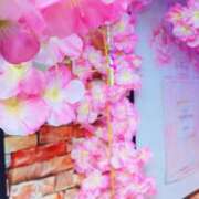 ヒメ日記 2025/04/24 19:03 投稿 いろは ミラー