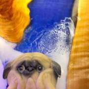 ヒメ日記 2025/05/03 08:30 投稿 いろは ミラー