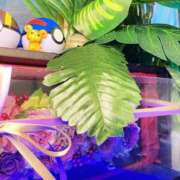 ヒメ日記 2025/05/10 08:45 投稿 いろは ミラー