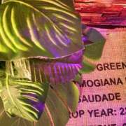 ヒメ日記 2025/05/16 12:02 投稿 いろは ミラー