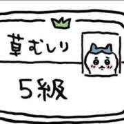 ヒメ日記 2025/05/25 08:30 投稿 いろは ミラー