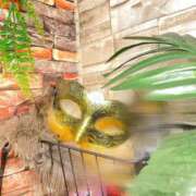 ヒメ日記 2025/06/07 08:30 投稿 いろは ミラー