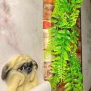 ヒメ日記 2025/06/21 18:00 投稿 いろは ミラー