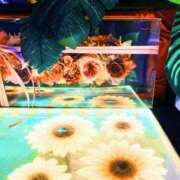 ヒメ日記 2025/07/08 18:00 投稿 いろは ミラー