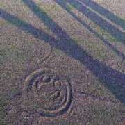 ヒメ日記 2025/07/12 08:30 投稿 いろは ミラー