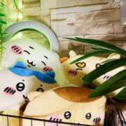 ヒメ日記 2025/07/31 18:01 投稿 いろは ミラー