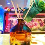 ヒメ日記 2025/08/17 22:30 投稿 いろは ミラー