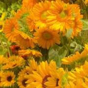 ヒメ日記 2025/09/01 18:00 投稿 いろは ミラー