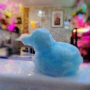 ヒメ日記 2025/09/15 08:30 投稿 いろは ミラー