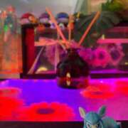 ヒメ日記 2025/09/28 10:03 投稿 いろは ミラー