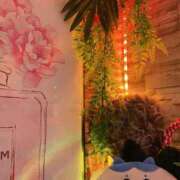 ヒメ日記 2025/10/18 08:30 投稿 いろは ミラー