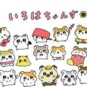 いろは お育ちの良いいろはちゃんず🐹⭐︎ ミラー