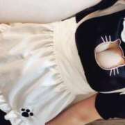 なのは 10月はコスプレ月間です♪ Candy×Candy （キャンディ×キャンディ）