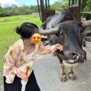 ヒメ日記 2025/08/02 12:32 投稿 艶音-ayane- 品川エッセンス