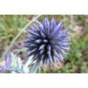 ヒメ日記 2024/12/28 10:55 投稿 じゅん まつど 素人だけのデリヘル。