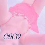 ヒメ日記 2025/02/15 17:33 投稿 ココ 痴女@女王様