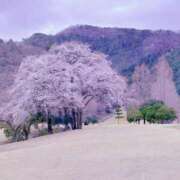 ヒメ日記 2025/04/02 13:23 投稿 ココ 痴女@女王様