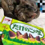 ヒメ日記 2025/12/18 01:43 投稿 ココ 痴女@女王様