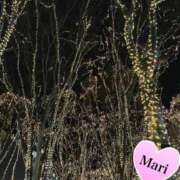 ヒメ日記 2024/12/20 23:31 投稿 マリ ラブコレクション