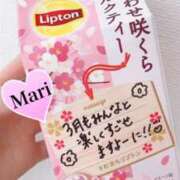 ヒメ日記 2025/02/21 23:16 投稿 マリ ラブコレクション