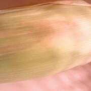 ヒメ日記 2025/09/18 18:16 投稿 マリ ラブコレクション