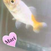 ヒメ日記 2025/10/03 17:31 投稿 マリ ラブコレクション