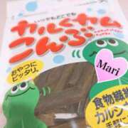 ヒメ日記 2026/04/06 00:46 投稿 マリ ラブコレクション