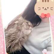 ヒメ日記 2025/02/23 20:37 投稿 小山めぐみ 松戸人妻花壇