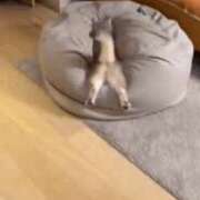 ヒメ日記 2025/05/27 09:04 投稿 小山めぐみ 松戸人妻花壇