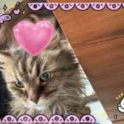 ヒメ日記 2025/07/14 12:41 投稿 小山めぐみ 松戸人妻花壇