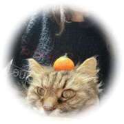 ヒメ日記 2026/01/02 08:08 投稿 小山めぐみ 松戸人妻花壇