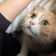 ヒメ日記 2026/01/17 11:48 投稿 小山めぐみ 松戸人妻花壇