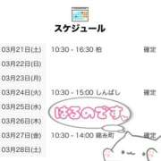 ヒメ日記 2026/03/22 15:01 投稿 はるの 世界のあんぷり亭 日暮里店