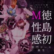 ヒメ日記 2025/04/25 17:05 投稿 ほなみ ファッションヘルス カリスマ