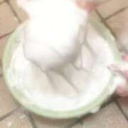 ヒメ日記 2025/07/14 21:05 投稿 ほなみ ファッションヘルス カリスマ